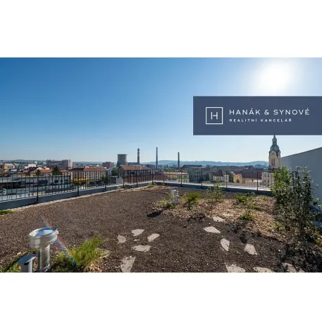 Pronájem bytu 1+kk, Brno, Křenová, 20 m2