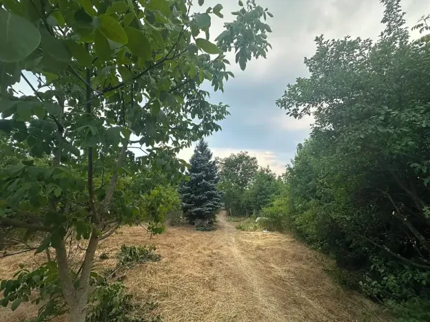 Prodej rodinného domu, Brno, Zaječí hora, 75 m2