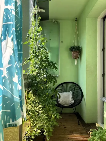 Prodej bytu 2+1, Litomyšl, Komenského nám., 62 m2