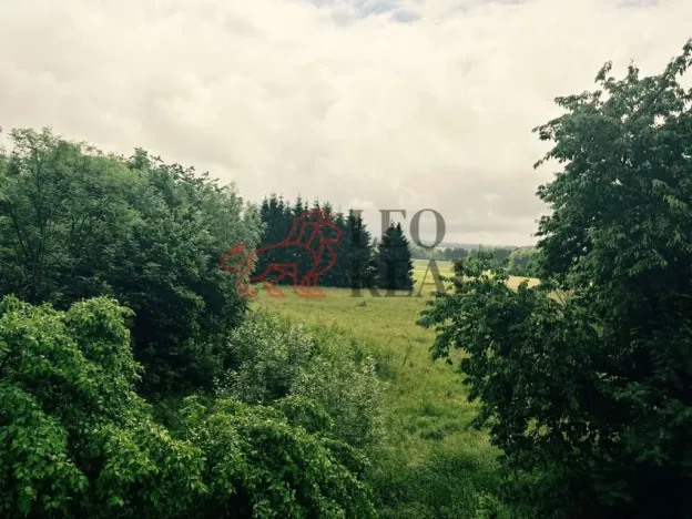 Prodej vícegeneračního domu, Slavíkov, 300 m2