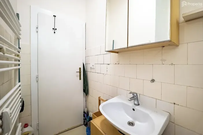 Prodej bytu 1+1, Brno, Pod kaštany, 49 m2