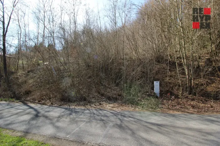 Prodej pozemku pro bydlení, Železný Brod, Chvalíkovická, 786 m2