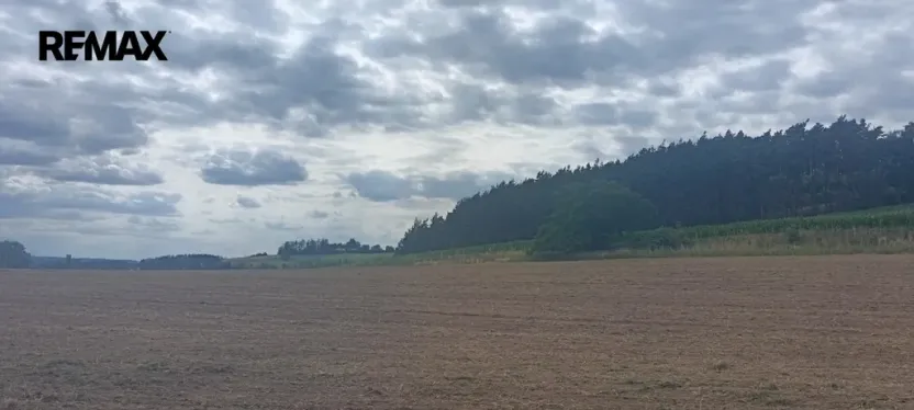Prodej pole, Počepice, 49428 m2