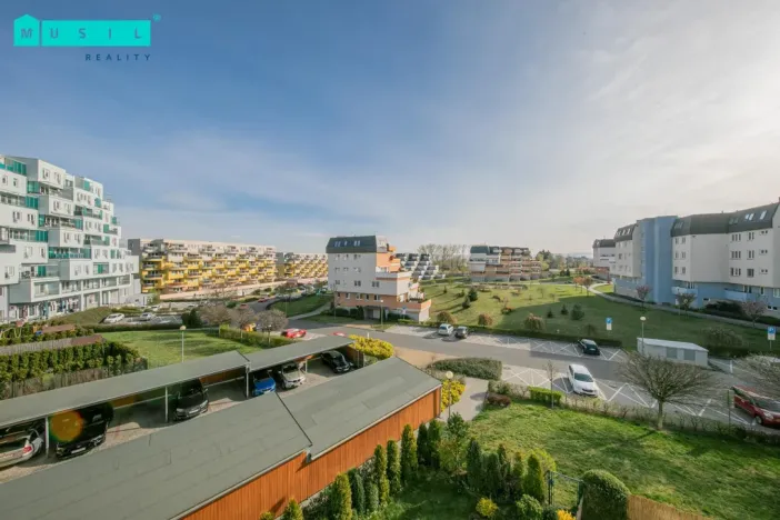 Pronájem bytu 1+kk, Olomouc - Nová Ulice, Okružní, 33 m2