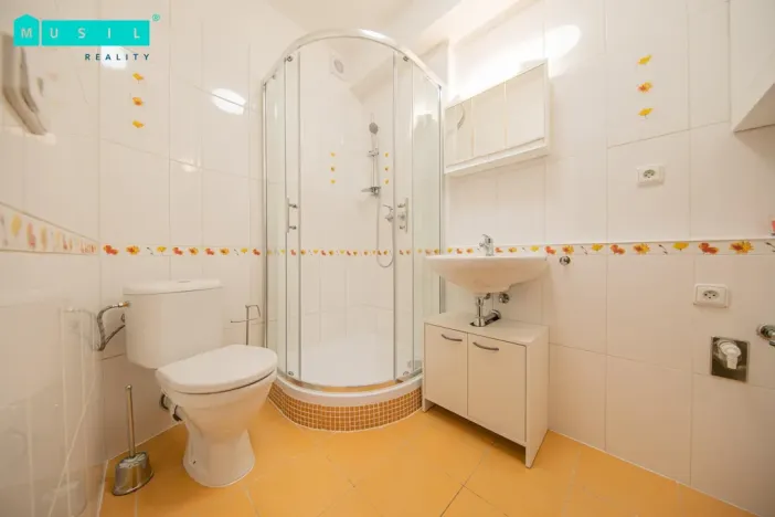 Pronájem bytu 1+kk, Olomouc - Nová Ulice, Okružní, 33 m2