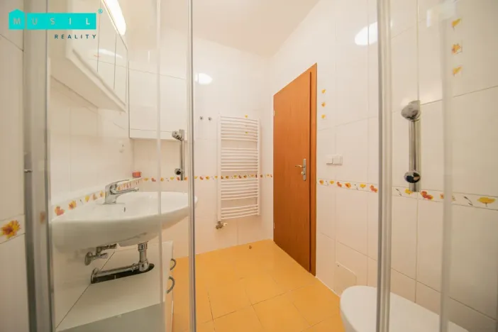 Pronájem bytu 1+kk, Olomouc - Nová Ulice, Okružní, 33 m2