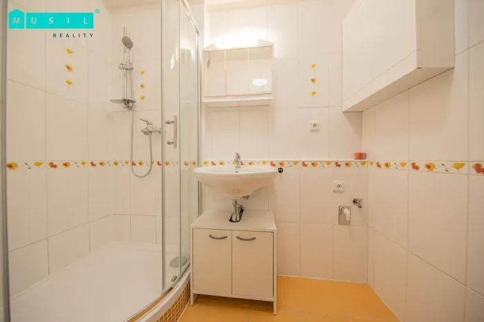 Pronájem bytu 1+kk, Olomouc - Nová Ulice, Okružní, 33 m2