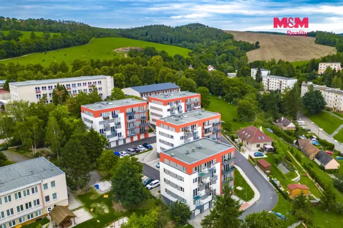 Pronájem bytu 1+kk, Plasy, U Václava, 38 m2