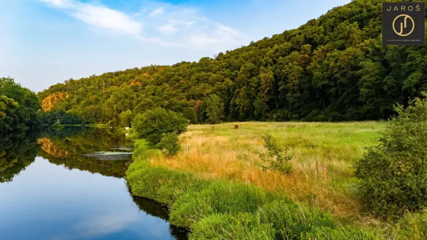Prodej louky, Nižbor - Žloukovice, 4554 m2
