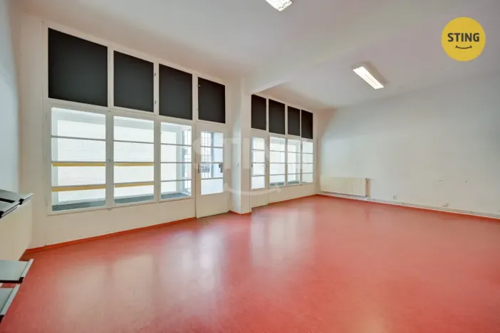 Prodej vícegeneračního domu, Přerov, Bratrská, 320 m2