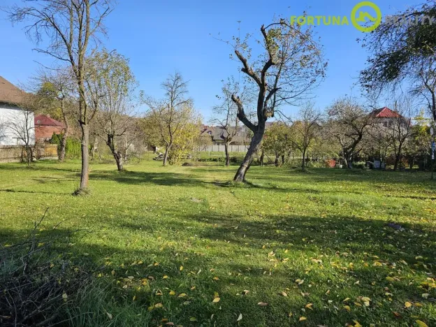 Prodej komerčního pozemku, Rybí, 3068 m2