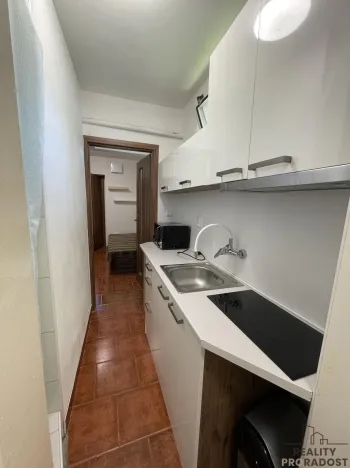 Pronájem atypického bytu, Ostrava, Nádražní, 20 m2