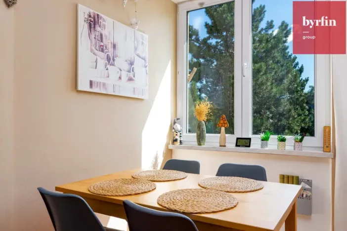 Prodej bytu 3+kk, Opava, Nerudova, 65 m2
