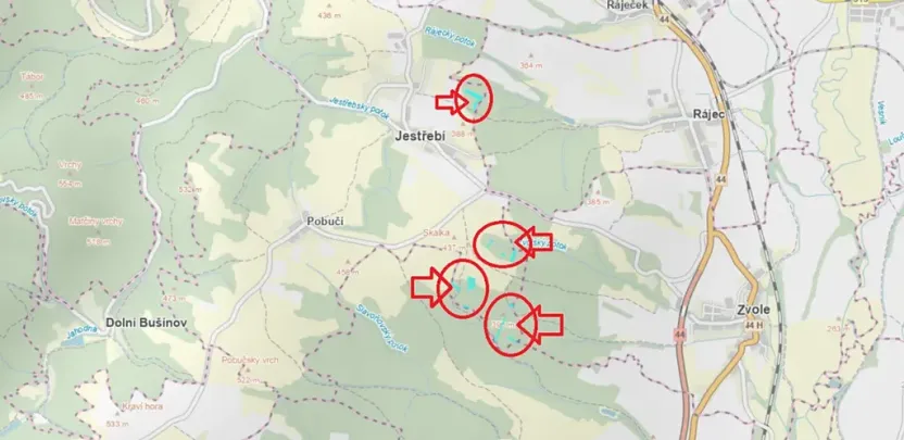 Prodej lesa, Jestřebí, 24490 m2