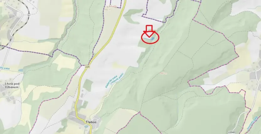 Prodej lesa, Třeboc, 1785 m2
