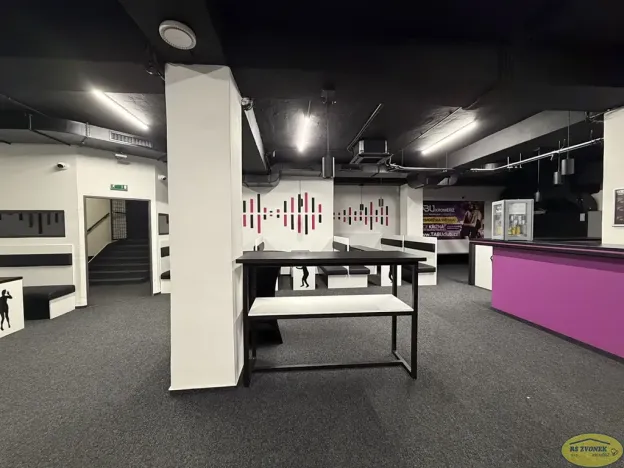 Pronájem komerční nemovitosti, Kroměříž, Křižná, 250 m2