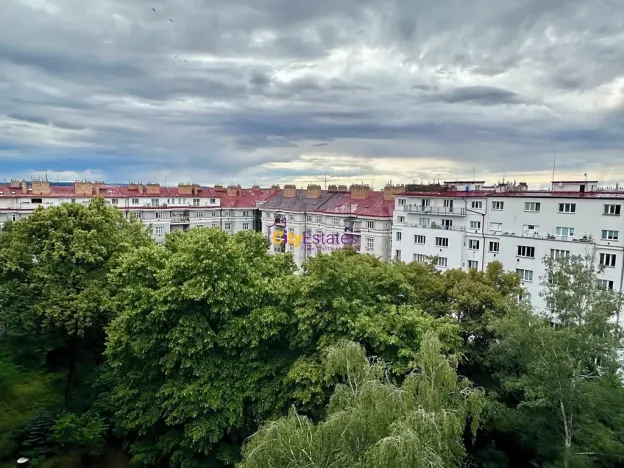 Prodej bytu 2+1, Praha - Žižkov, Viklefova, 110 m2