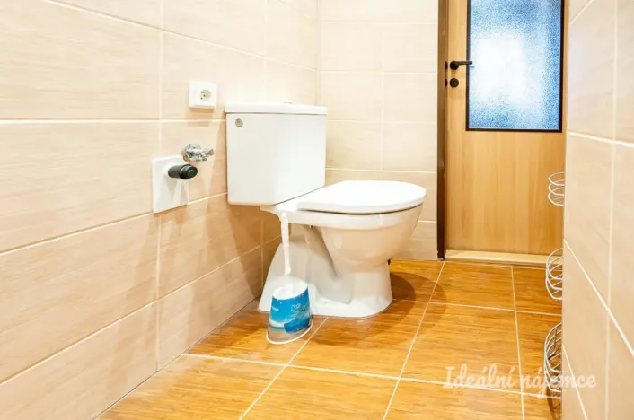 Pronájem rodinného domu, Brandýs nad Labem-Stará Boleslav - Brandýs nad Labem, Jiskrova, 41 m2