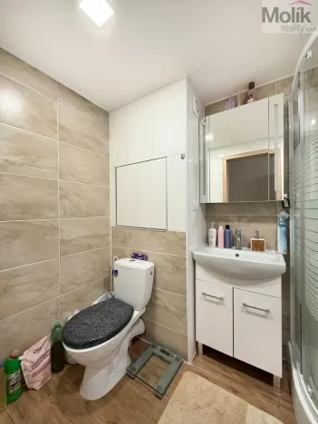 Pronájem bytu 2+kk, Bílina - Pražské Předměstí, Aléská, 49 m2