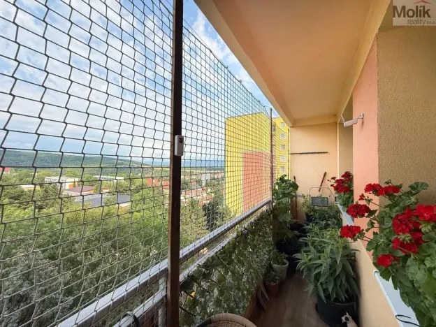 Pronájem bytu 2+kk, Bílina - Pražské Předměstí, Aléská, 49 m2