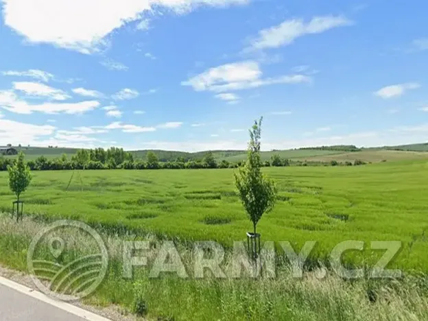 Prodej podílu pole, Čejkovice, 194311 m2