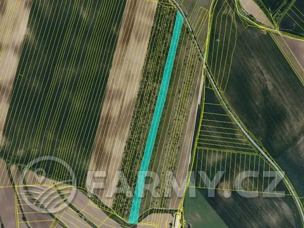 Prodej podílu pole, Čejkovice, 194311 m2