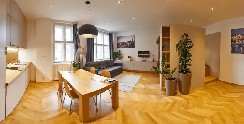 Prodej bytu 1+kk, Praha - Staré Město, Dlouhá, 54 m2