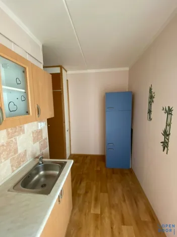 Pronájem bytu 1+1, Habartov, Karla Čapka, 36 m2