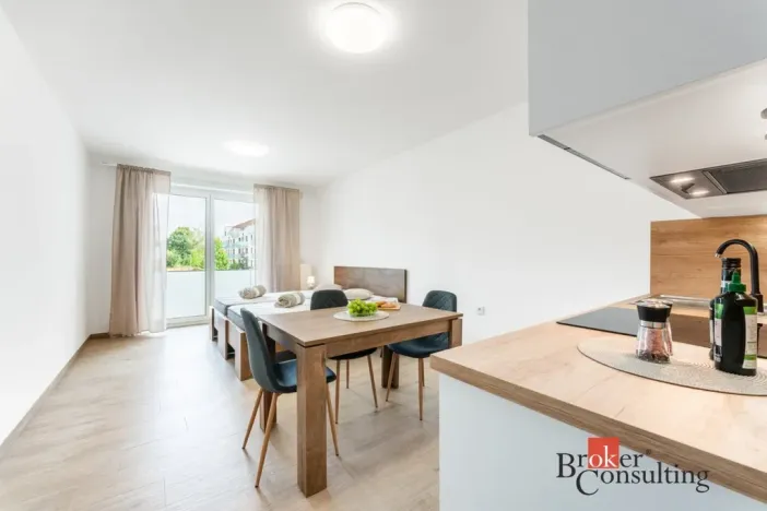 Pronájem bytu 1+kk, Olomouc - Nová Ulice, Třída Jiřího Pelikána, 33 m2