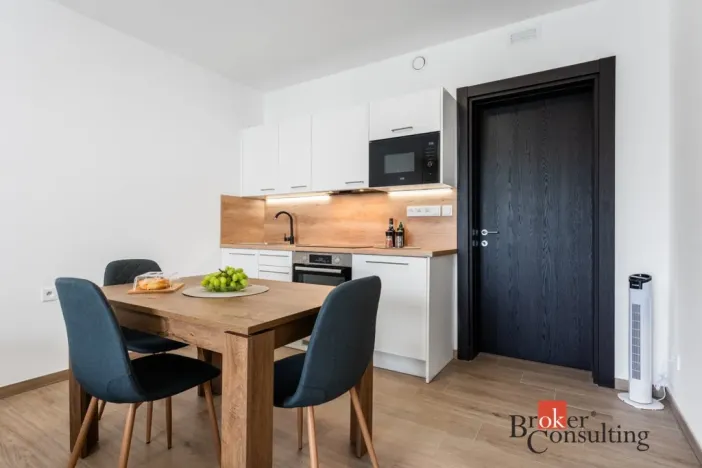 Pronájem bytu 1+kk, Olomouc - Nová Ulice, Třída Jiřího Pelikána, 33 m2