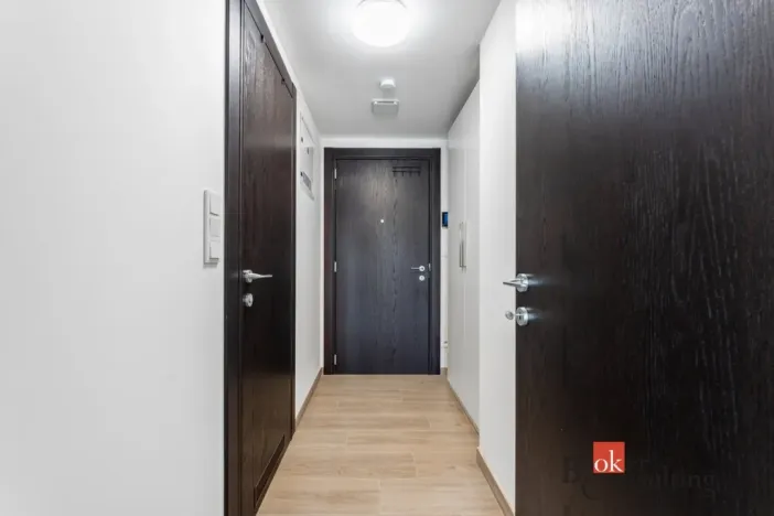 Pronájem bytu 1+kk, Olomouc - Nová Ulice, Třída Jiřího Pelikána, 33 m2