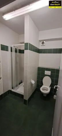 Pronájem ordinace, Opava - Předměstí, Těšínská, 140 m2