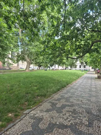 Pronájem pokoje, Praha - Karlín, Peckova, 15 m2