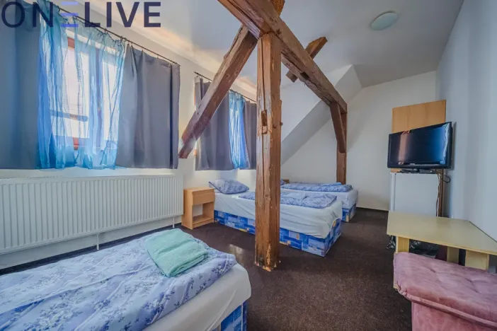 Prodej ubytování, Úlice, 600 m2