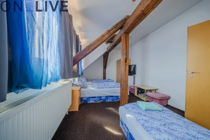 Prodej ubytování, Úlice, 600 m2