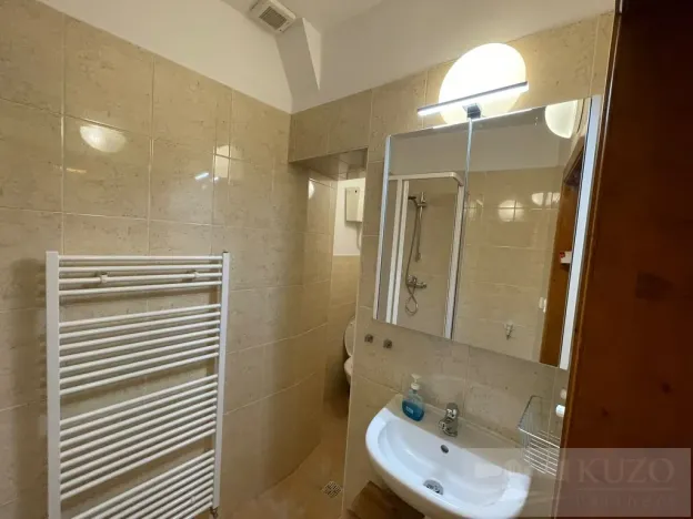 Pronájem bytu 1+kk, Plzeň - Jižní Předměstí, Borská, 30 m2