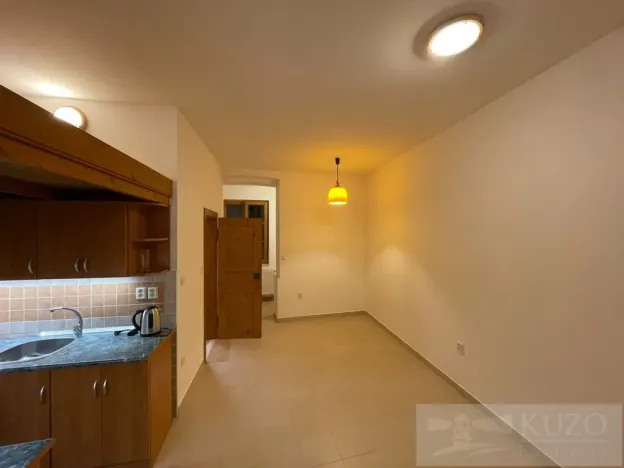Pronájem bytu 2+kk, Plzeň - Jižní Předměstí, Borská, 50 m2