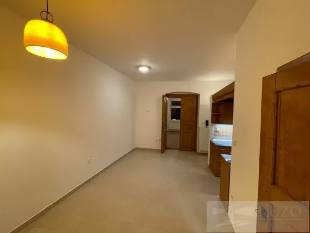 Pronájem bytu 2+kk, Plzeň - Jižní Předměstí, Borská, 50 m2
