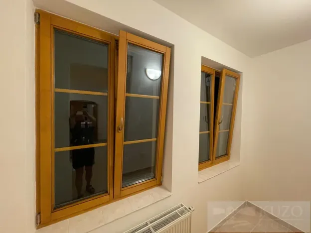 Pronájem bytu 2+kk, Plzeň - Jižní Předměstí, Borská, 50 m2
