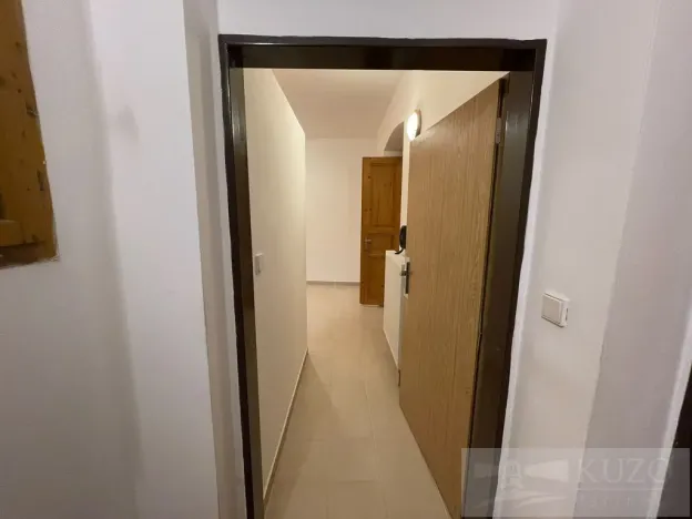 Pronájem bytu 2+kk, Plzeň - Jižní Předměstí, Borská, 50 m2