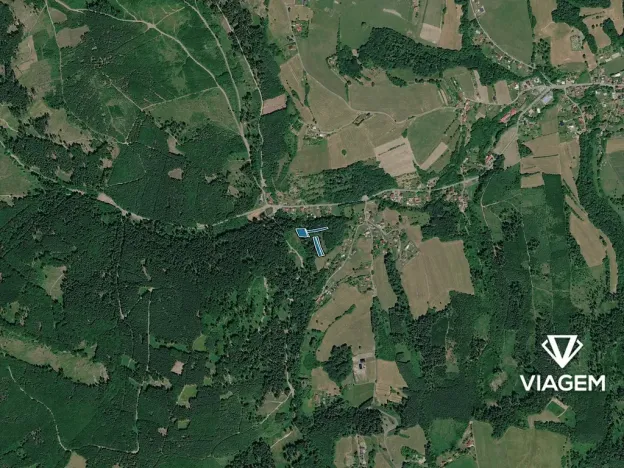 Prodej lesa, Mikulůvka, 3828 m2
