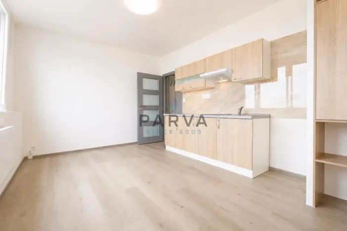 Prodej bytu 1+kk, Plzeň - Jižní Předměstí, U Borského parku, 21 m2
