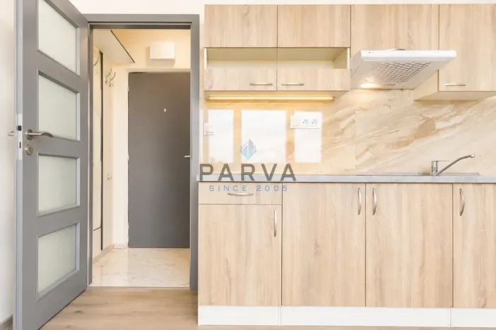 Prodej bytu 1+kk, Plzeň - Jižní Předměstí, U Borského parku, 21 m2