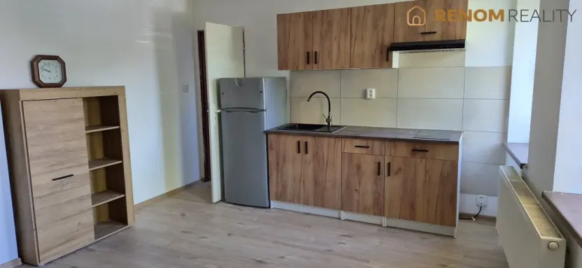 Pronájem bytu 1+kk, Olomouc, Teichmannova, 35 m2