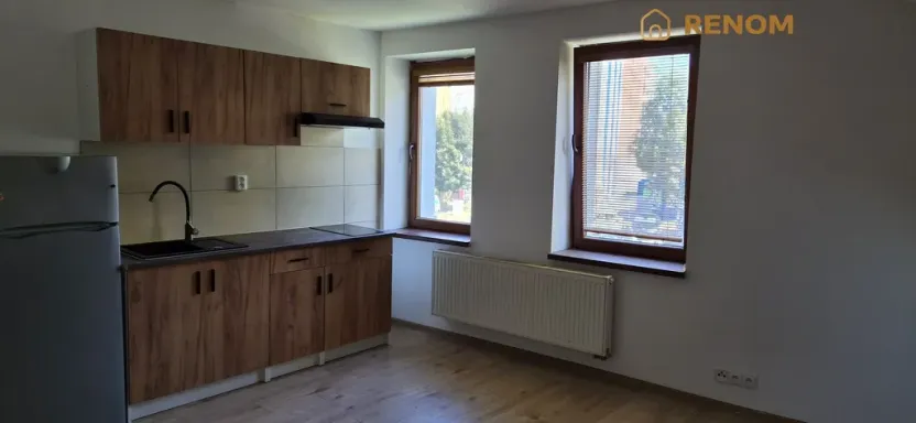 Pronájem bytu 1+kk, Olomouc, Teichmannova, 35 m2