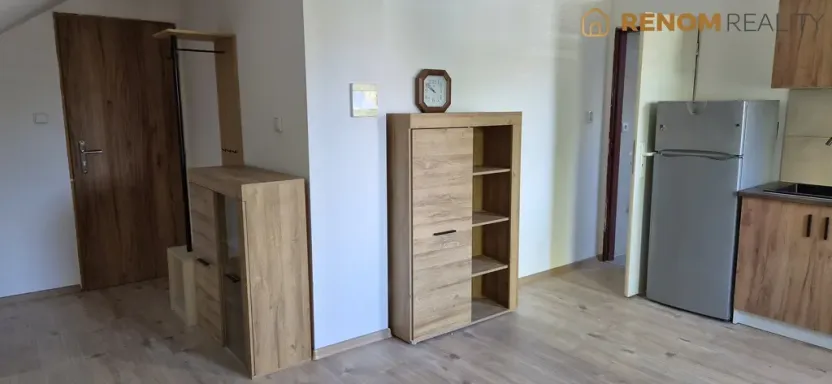 Pronájem bytu 1+kk, Olomouc, Teichmannova, 35 m2