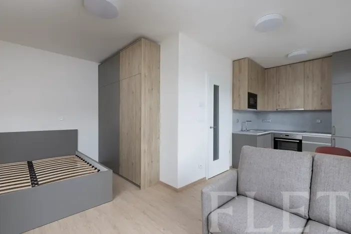 Pronájem bytu 1+kk, Praha - Řeporyje, Haenkeho, 31 m2