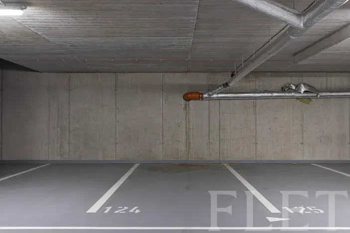 Pronájem bytu 3+kk, Praha - Řeporyje, Haenkeho, 74 m2