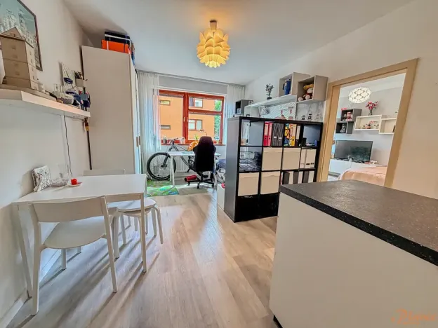 Prodej bytu 2+kk, Kralupy nad Vltavou, Přemyslova, 50 m2