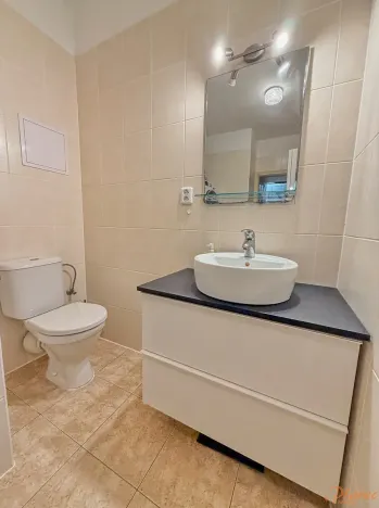 Prodej bytu 2+kk, Kralupy nad Vltavou, Přemyslova, 50 m2